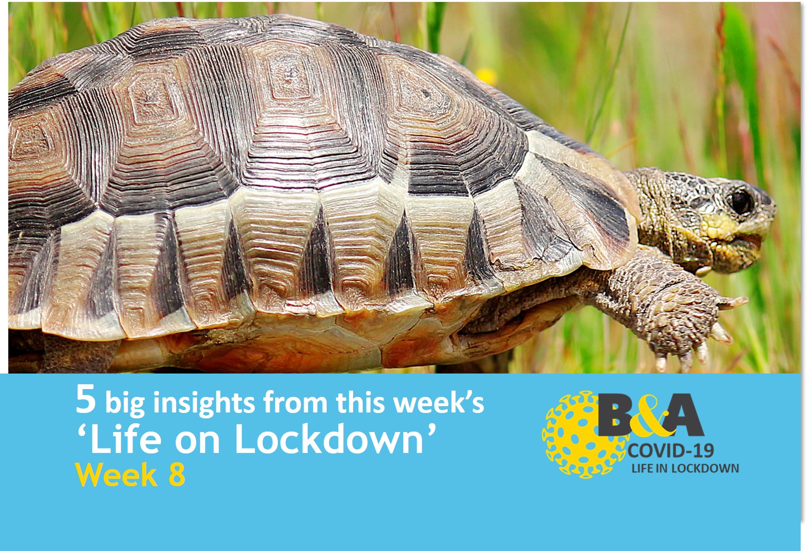 Week 8 of our 5 big insights from ‘Life on Lockdown’