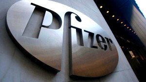 Pfizer Health Index 2010